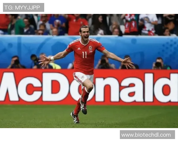 荷兰足球先生荣耀之路：从天才少年到世界级巨星的传奇旅程