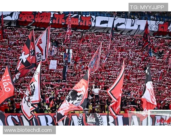 足球球星精彩动画进球瞬间震撼全场点燃无数球迷激情