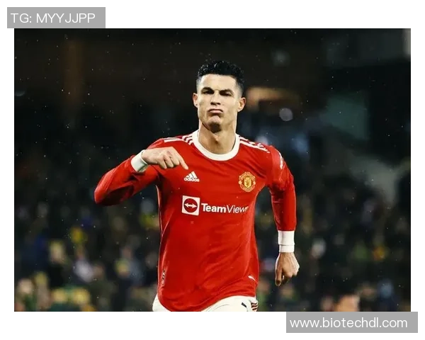 足球179球星传奇:超越历史的辉煌与挑战之路