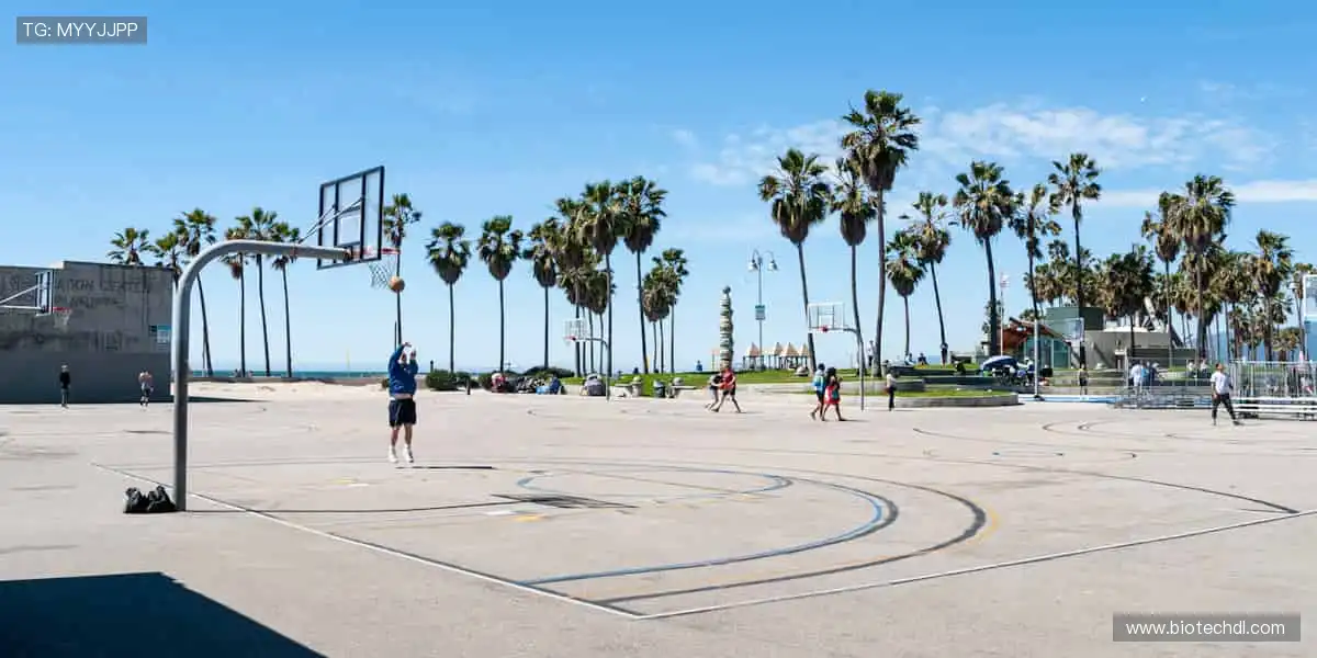 🏅 珍藏回忆,与偶像同行!🧢